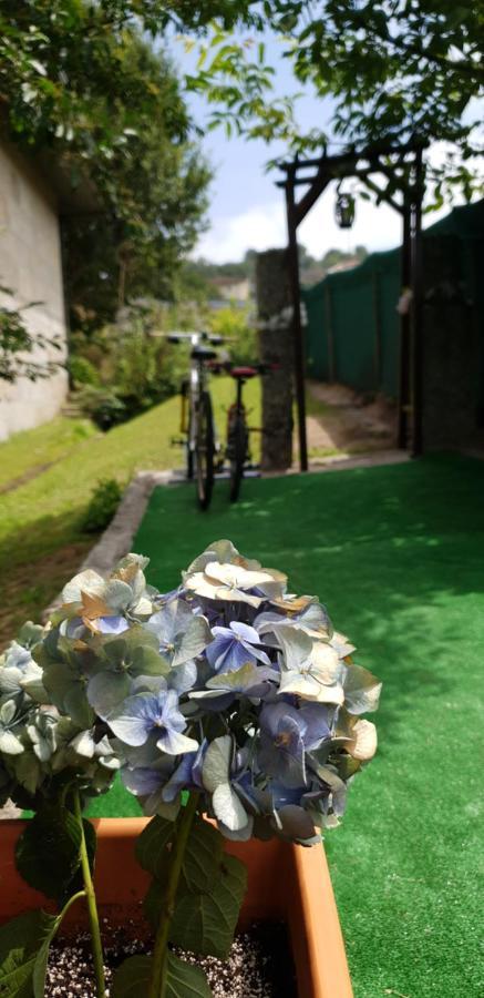 Quinta De Carvalhal - Casa De Campo Guimarães Kültér fotó